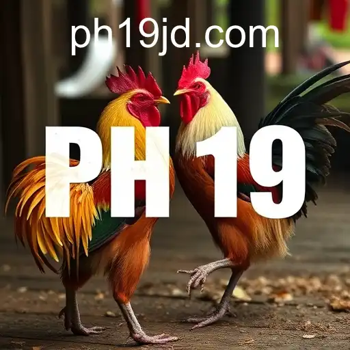 Exploring the World of Online Sabong: The PH19 Experience